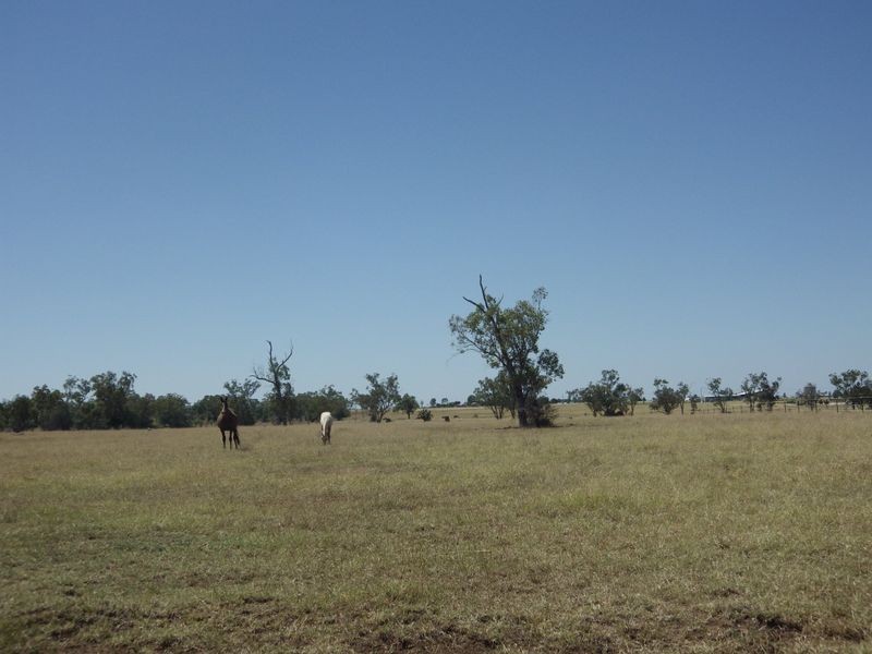 95 Richardsons Lane, Roma QLD 4455