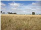 45772 Warrego Highway, Roma QLD 4455