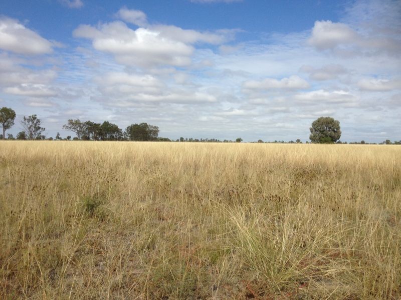 45772 Warrego Highway, Roma QLD 4455