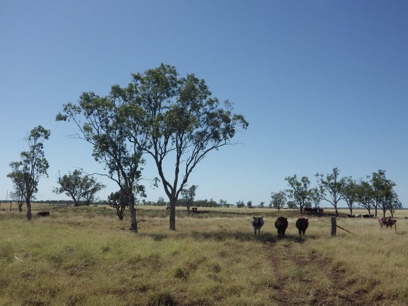 Lot 35 Warrego Highway, Roma QLD 4455