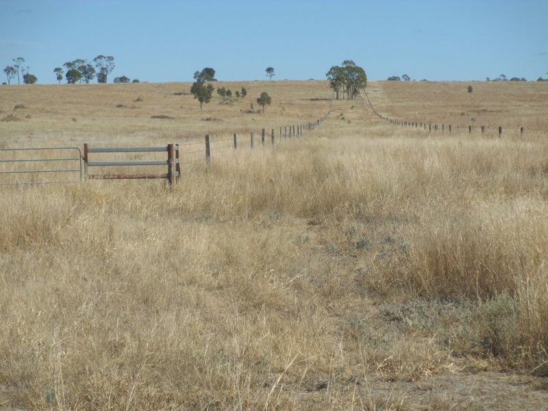Carnarvon Highway, Injune QLD 4454