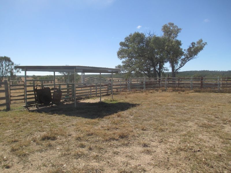 Carnarvon Highway, Injune QLD 4454