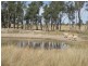 Carnarvon Highway, Injune QLD 4454