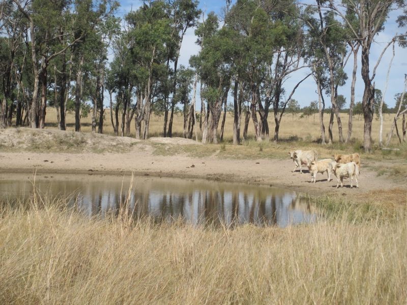 Carnarvon Highway, Injune QLD 4454