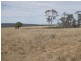 Carnarvon Highway, Injune QLD 4454