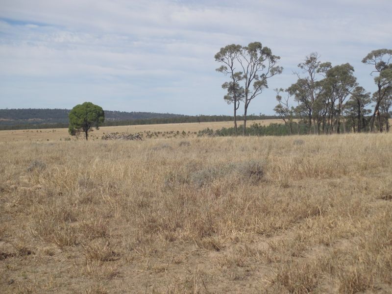 Carnarvon Highway, Injune QLD 4454