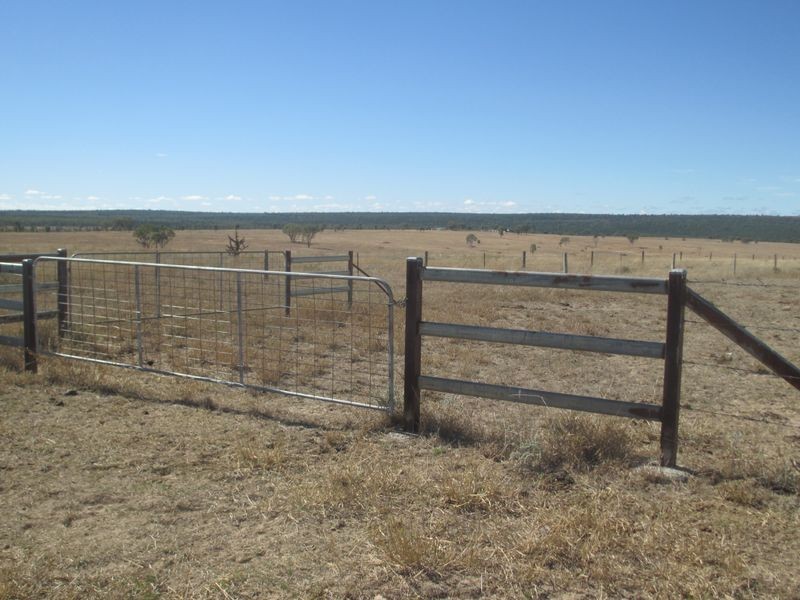 Carnarvon Highway, Injune QLD 4454