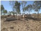 Carnarvon Highway, Injune QLD 4454