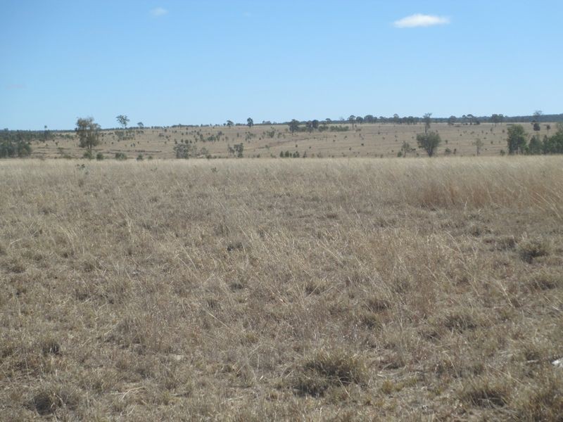 Carnarvon Highway, Injune QLD 4454