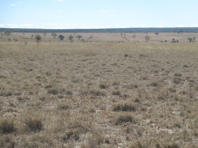 Carnarvon Highway, Injune QLD 4454