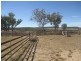 Carnarvon Highway, Injune QLD 4454
