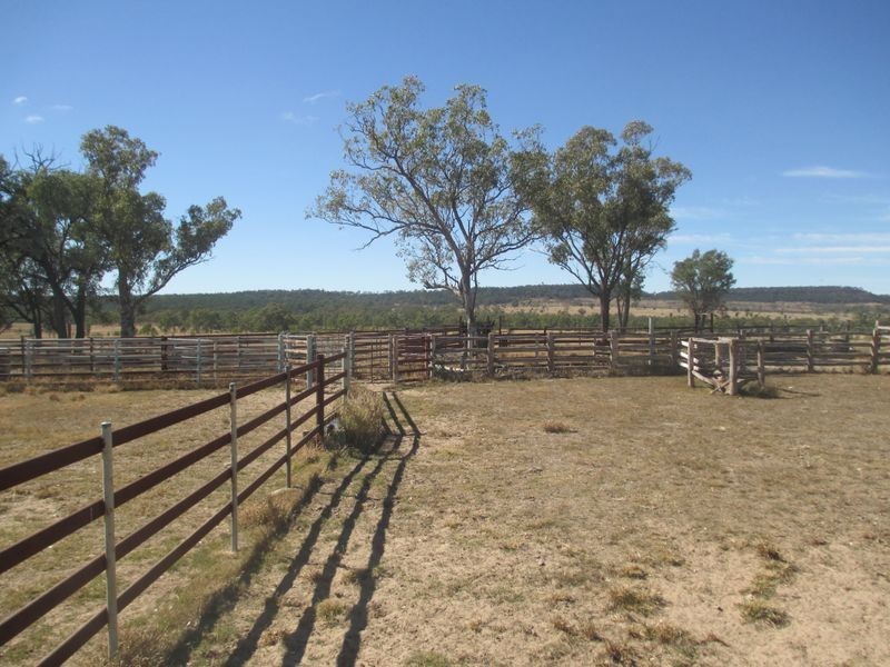 Carnarvon Highway, Injune QLD 4454