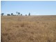 Carnarvon Highway, Injune QLD 4454