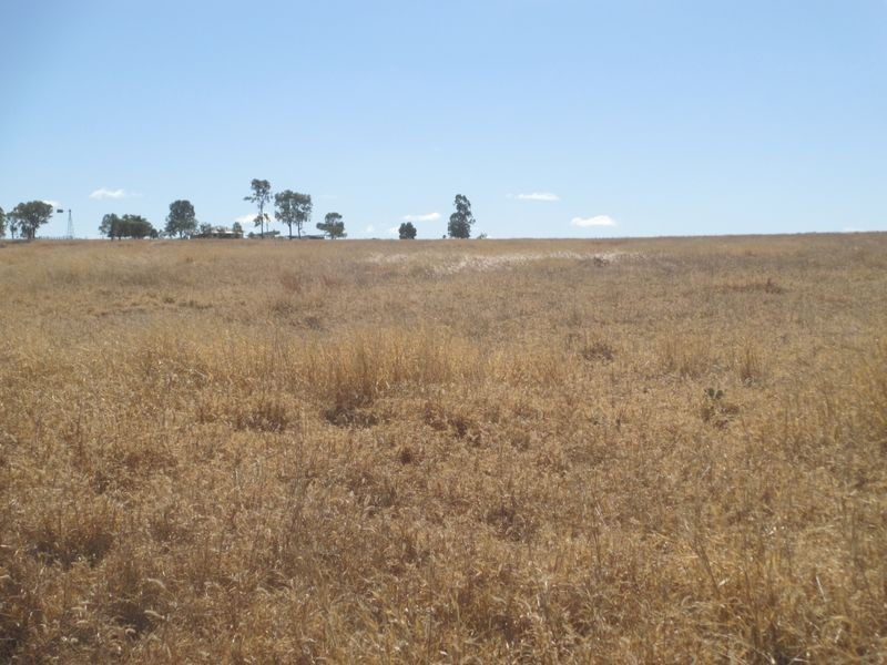 Carnarvon Highway, Injune QLD 4454