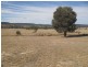 Carnarvon Highway, Injune QLD 4454