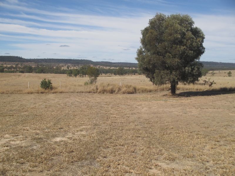 Carnarvon Highway, Injune QLD 4454