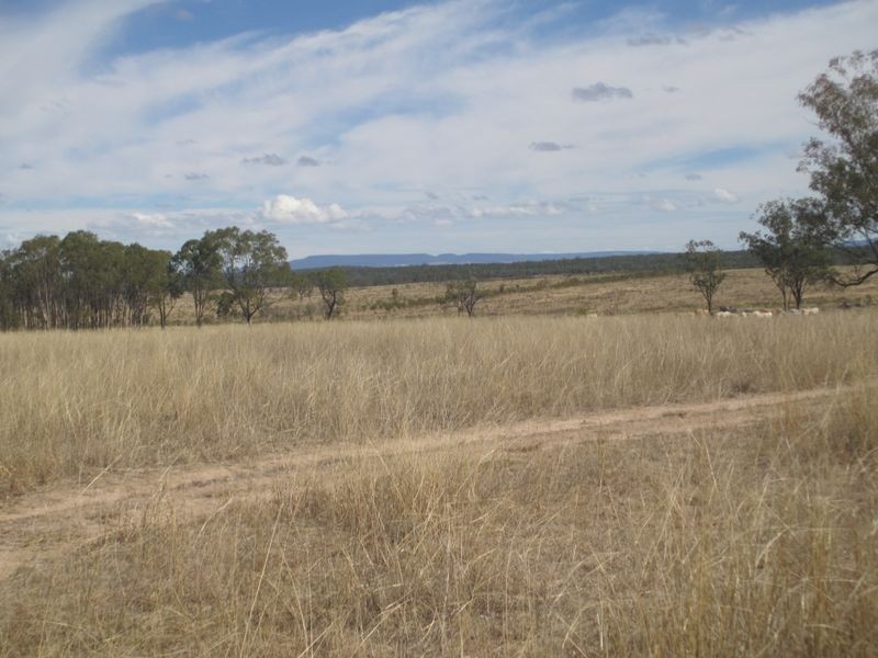 Carnarvon Highway, Injune QLD 4454