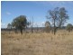 Carnarvon Highway, Injune QLD 4454