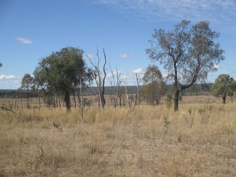 Carnarvon Highway, Injune QLD 4454