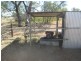 Carnarvon Highway, Injune QLD 4454
