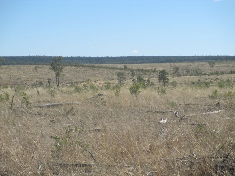 Carnarvon Highway, Injune QLD 4454