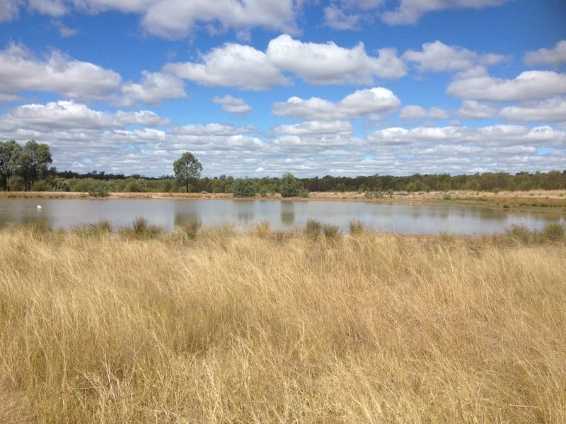 1141 Yuleba Surat Road, Yuleba QLD 4427