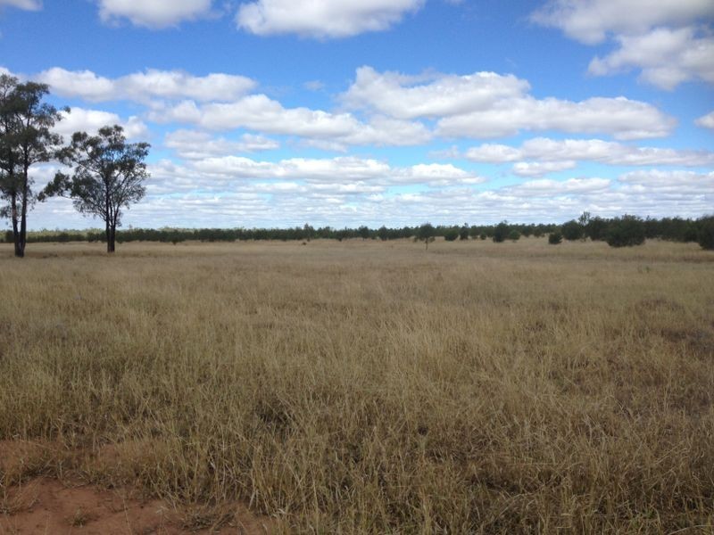 1141 Yuleba Surat Road, Yuleba QLD 4427