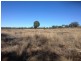 1141 Yuleba Surat Road, Yuleba QLD 4427