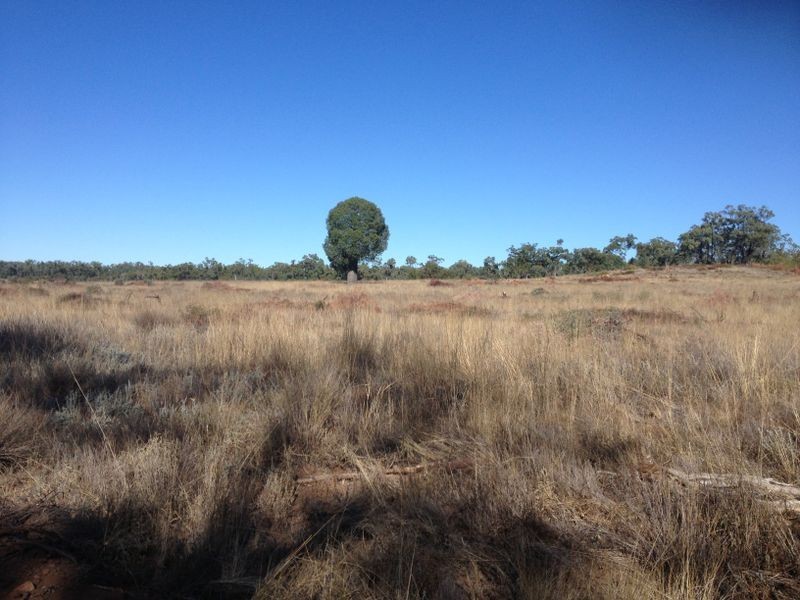 1141 Yuleba Surat Road, Yuleba QLD 4427