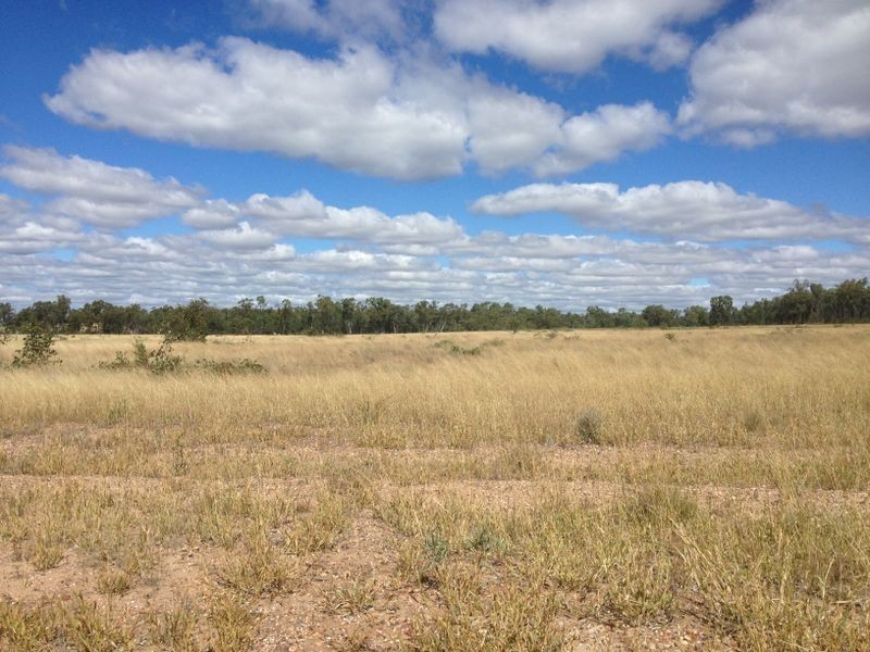 1141 Yuleba Surat Road, Yuleba QLD 4427
