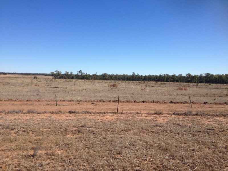 1141 Yuleba Surat Road, Yuleba QLD 4427
