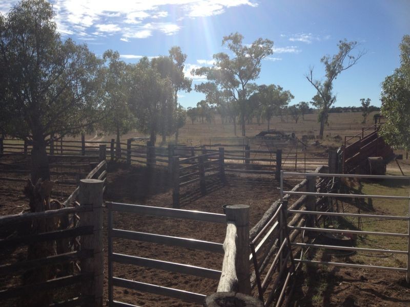 1141 Yuleba Surat Road, Yuleba QLD 4427