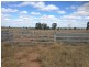 1141 Yuleba Surat Road, Yuleba QLD 4427