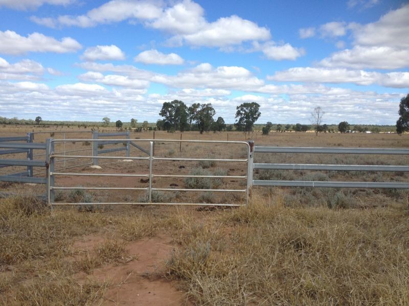 1141 Yuleba Surat Road, Yuleba QLD 4427