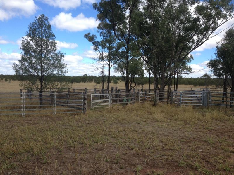 1141 Yuleba Surat Road, Yuleba QLD 4427
