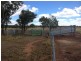1141 Yuleba Surat Road, Yuleba QLD 4427