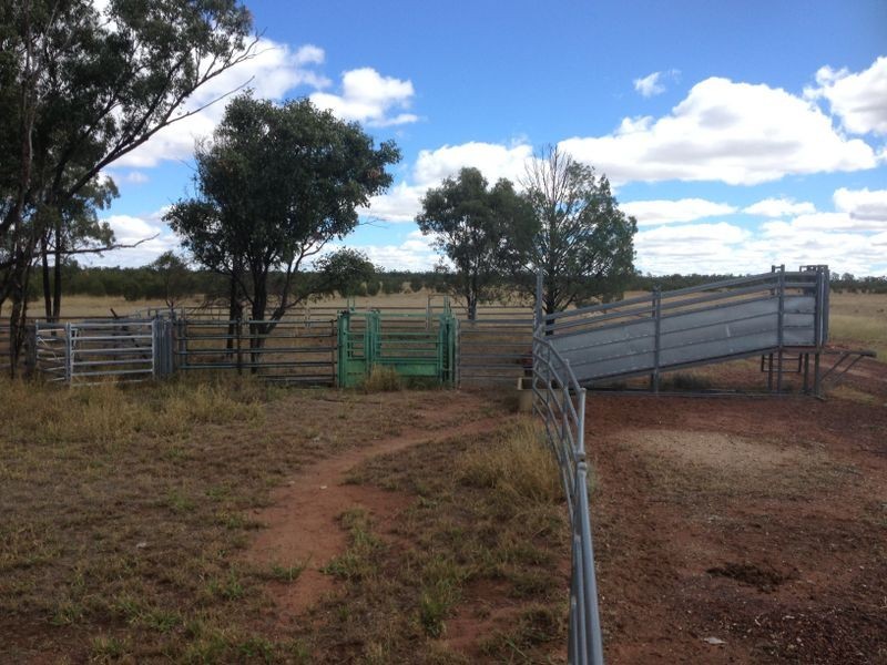 1141 Yuleba Surat Road, Yuleba QLD 4427