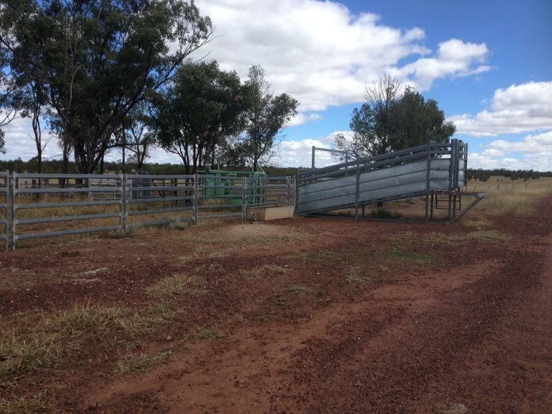 1141 Yuleba Surat Road, Yuleba QLD 4427