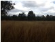 Glenolive Road, Injune QLD 4454