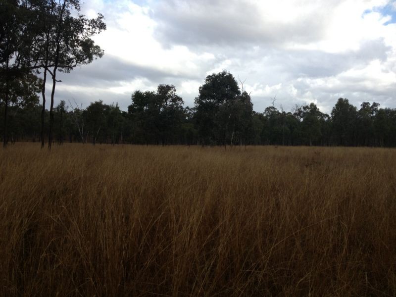 Glenolive Road, Injune QLD 4454