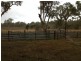 Glenolive Road, Injune QLD 4454