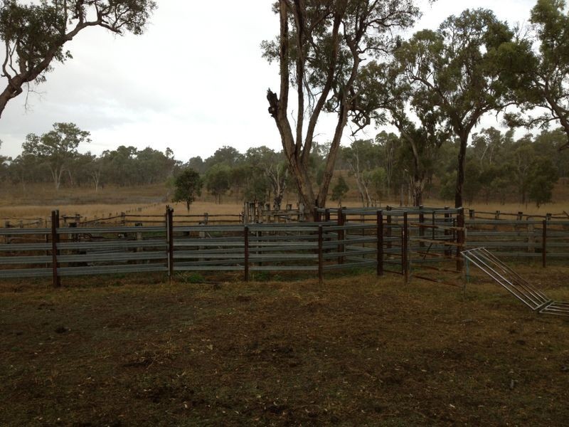 Glenolive Road, Injune QLD 4454