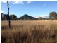 Glenolive Road, Injune QLD 4454