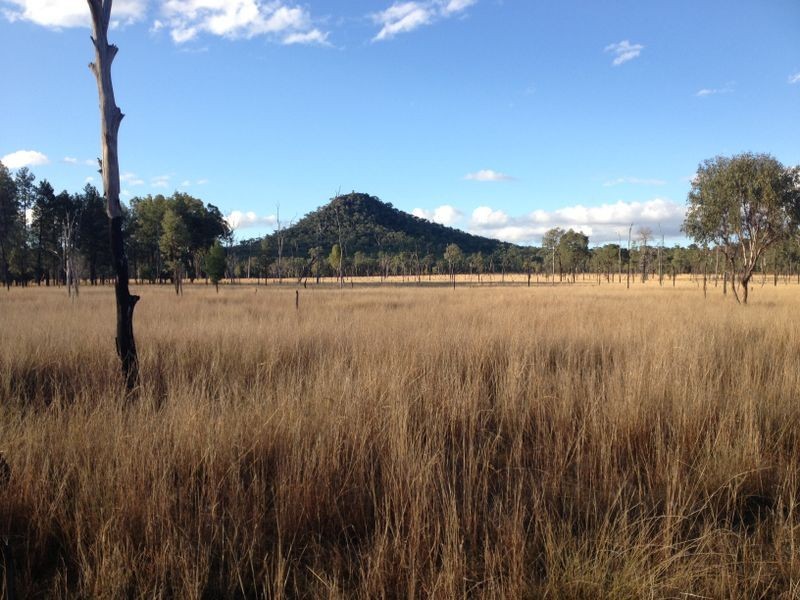 Glenolive Road, Injune QLD 4454