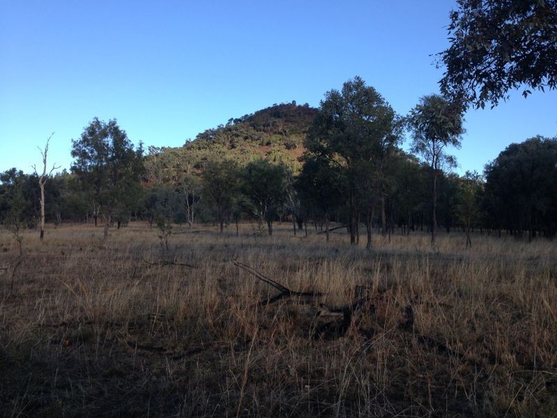 Glenolive Road, Injune QLD 4454