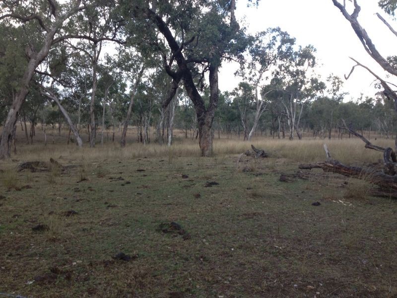 Glenolive Road, Injune QLD 4454