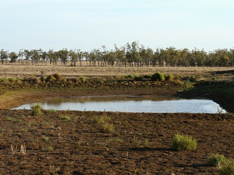 1823 Blue Hills Road, Roma QLD 4455