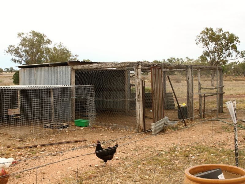 1823 Blue Hills Road, Roma QLD 4455