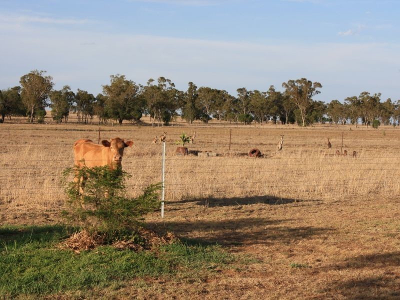 168 Bourne Drive, Roma QLD 4455