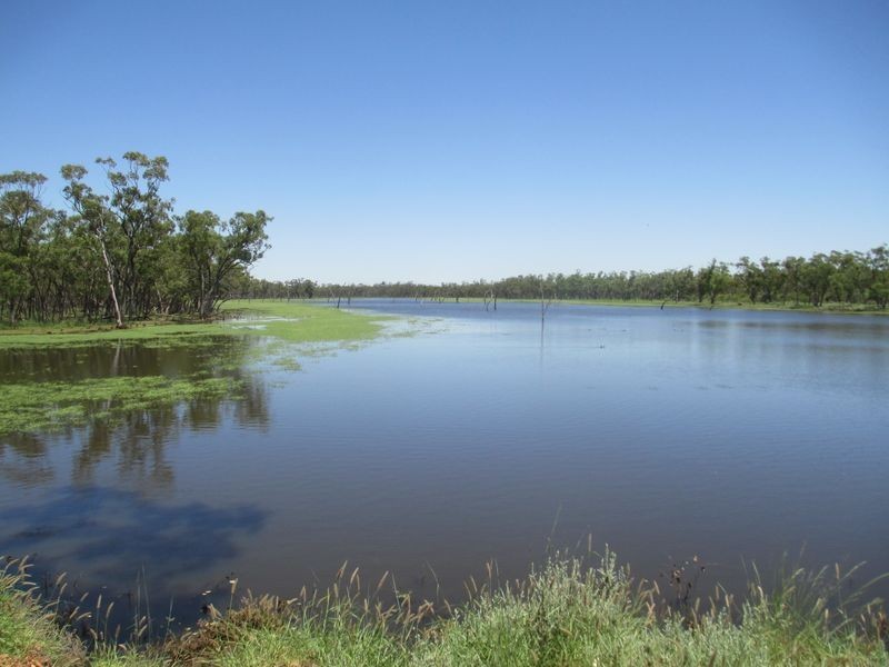 Tullochard, Mitchell QLD 4465